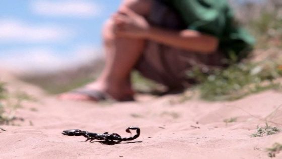 طفل من تادرت بإقليم جرسيف يتعرض للسعة عقرب وينقل إلى المستشفى