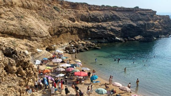 ألو سي العامل القايد راه ناعس … شاطئ تشارانا بين احتكار الفوضى وصمت السلطات